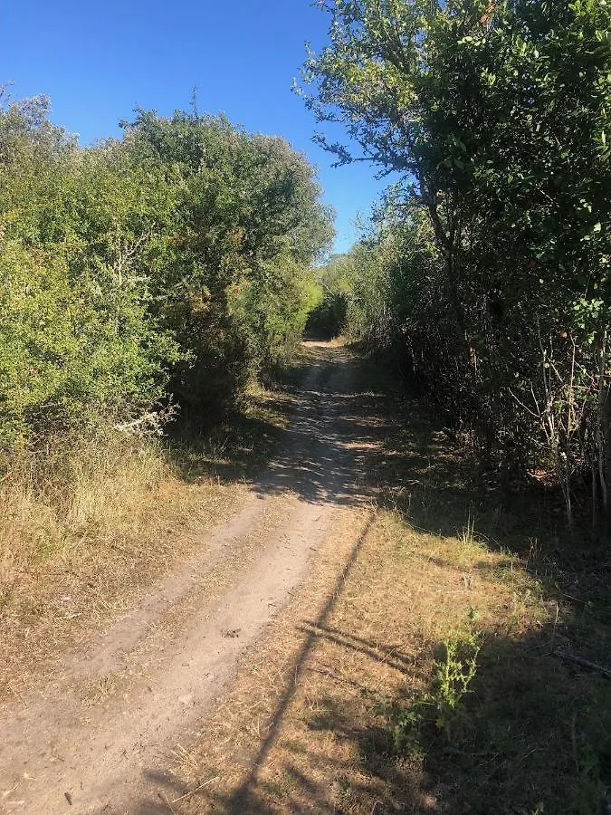 Kerdual - Jardin, Plage A Pied Par Sentier - C77 La Trinite-sur-Mer 0*,