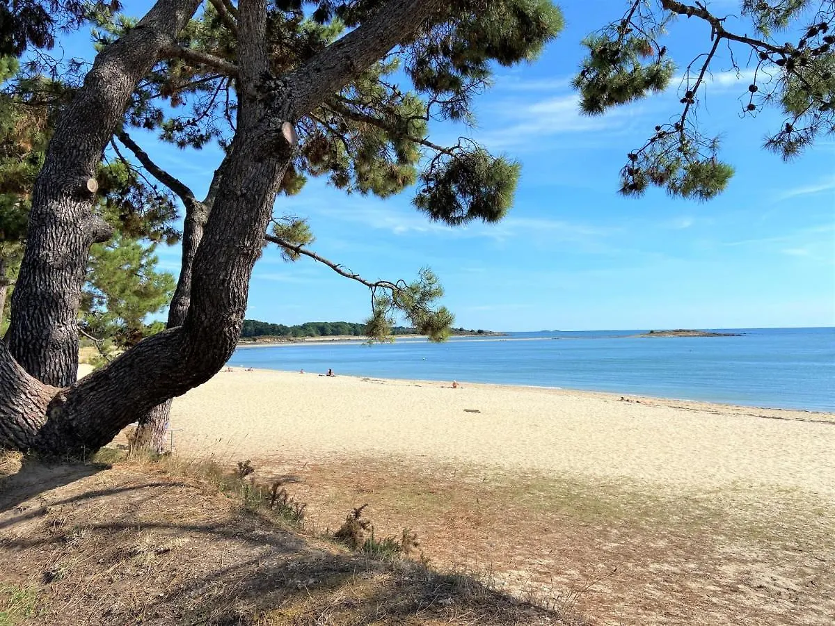 Kerdual - Jardin, Plage A Pied Par Sentier - C77 La Trinite-sur-Mer France